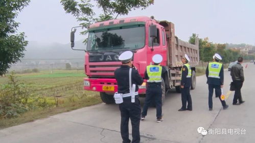衡阳县冷藏车道路运输成焦点，多家媒体齐聚探访发展之路